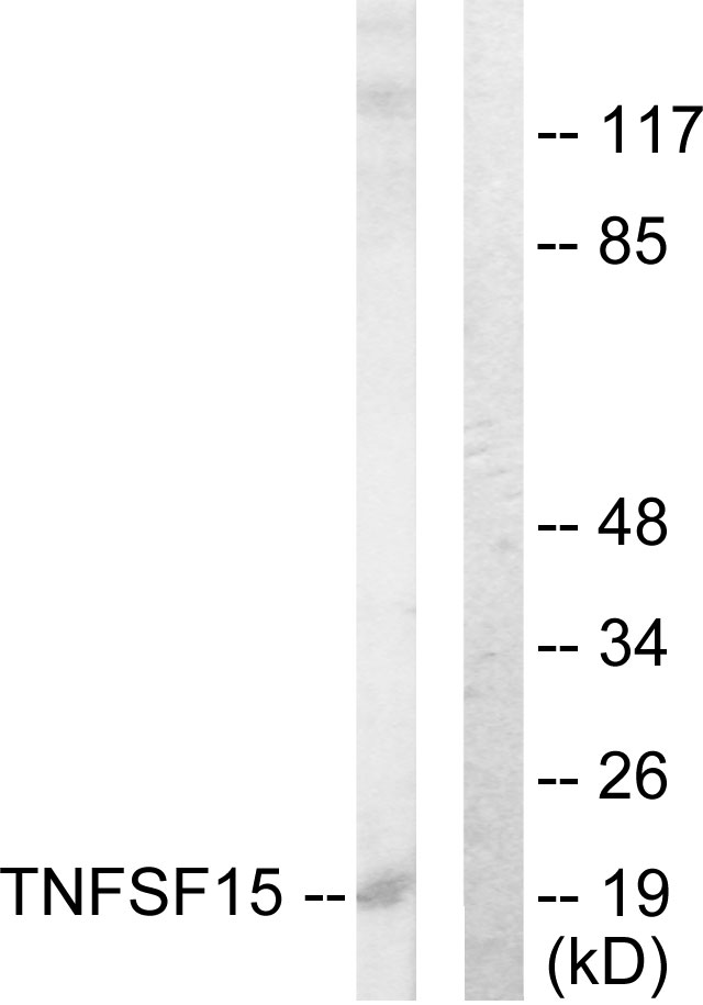Upload/Product/201761911072679.jpg