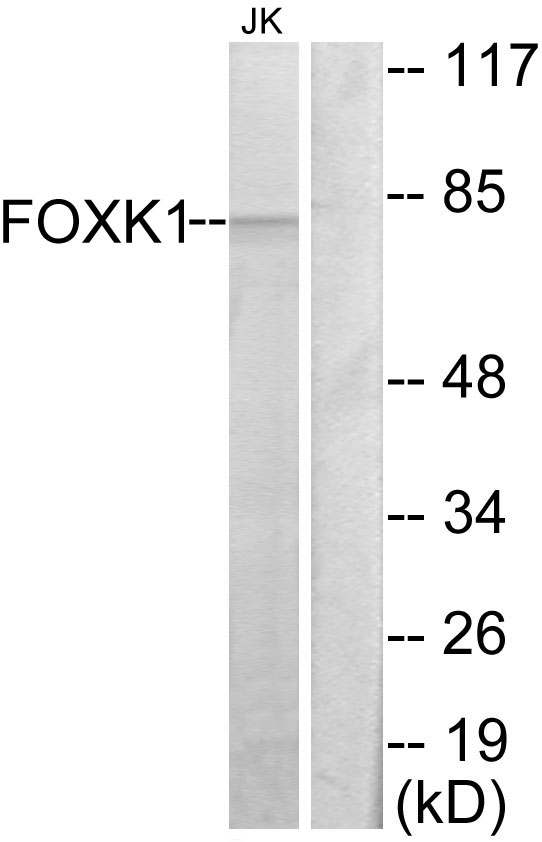 Upload/Product/201771710463340.jpg