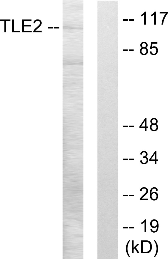 Upload/Product/201771810313970.jpg