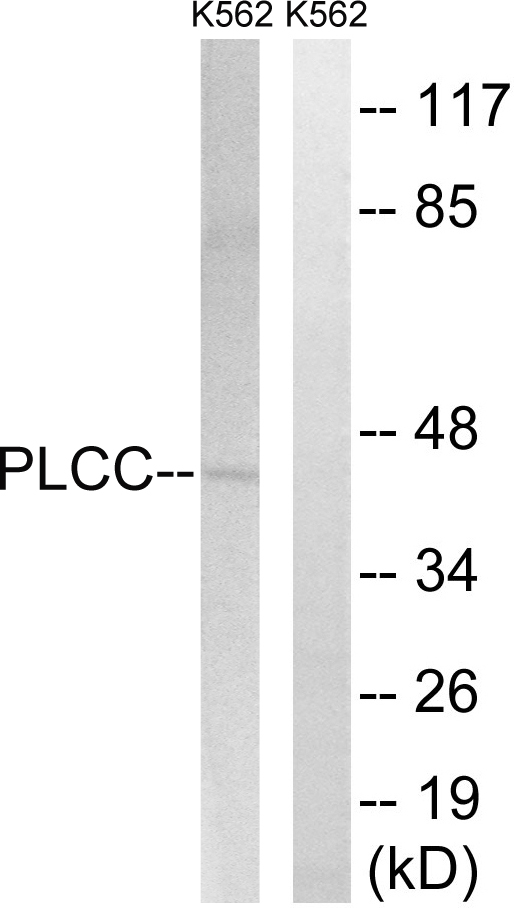 Upload/Product/20196411435521.jpg