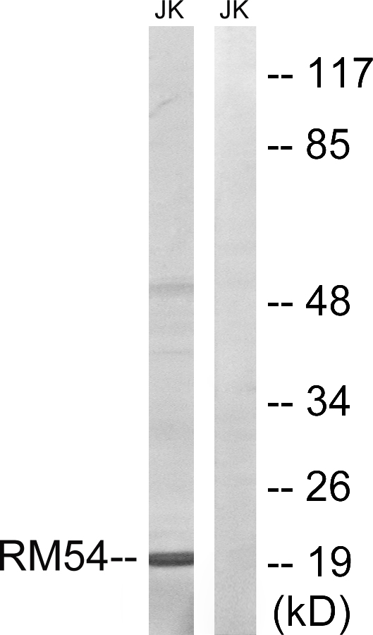 Upload/Product/20196412063932.jpg